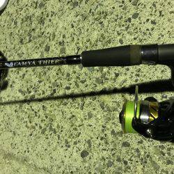 久々に2時間ほど