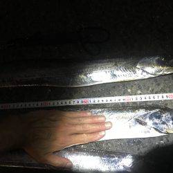 96センチとかもいてます