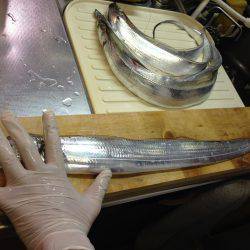 明日平日なのに人だらけ