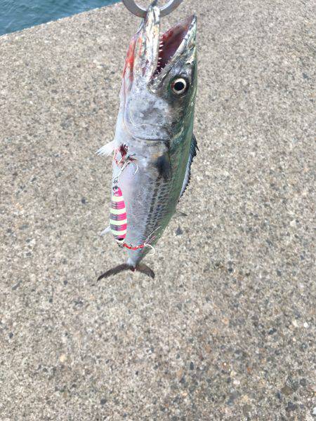 ショアジギング