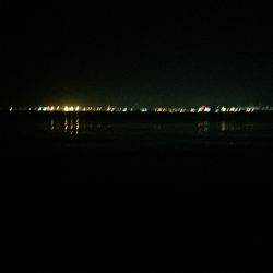 夜中は渋いのかそもそもいないのか。。