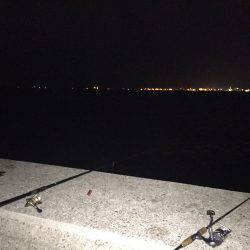 タチウオ好調！ サビキは不調