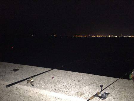 タチウオ好調！ サビキは不調