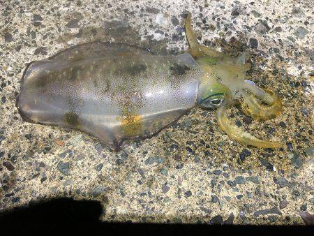 1泊2日の釣行 1日目