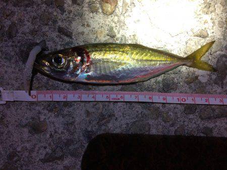 ぶらりアジング