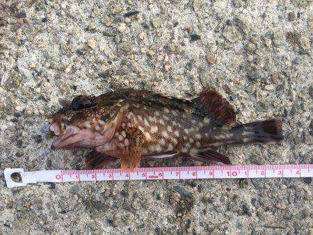 北公園にてガシリング