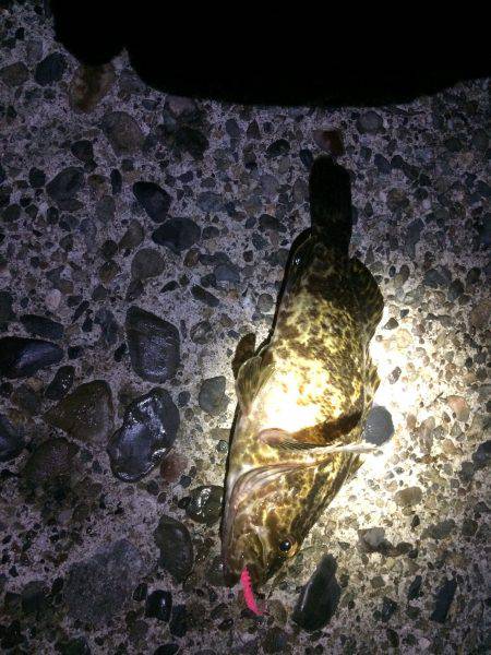 仕事帰りにガシリング