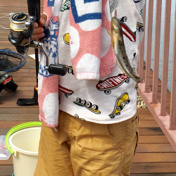 接待フィッシング