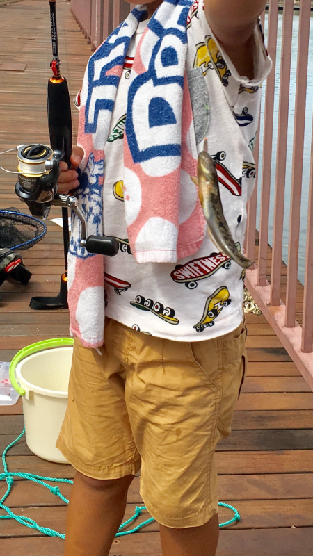 接待フィッシング