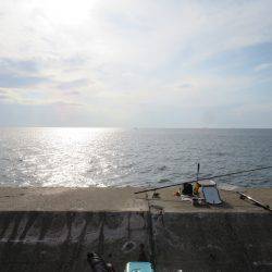 冨具崎港→師崎港