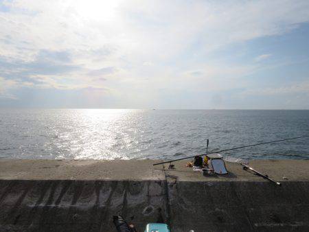 冨具崎港→師崎港