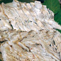 ムコイチ大渋滞