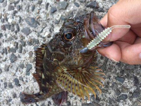 ライトゲーム遊び