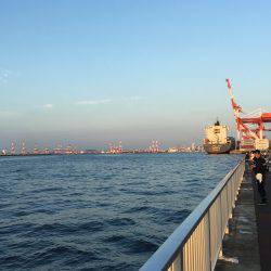 今シーズン初太刀魚