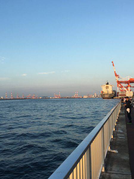 今シーズン初太刀魚