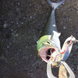 台風がの様子見