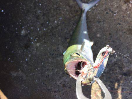 台風がの様子見