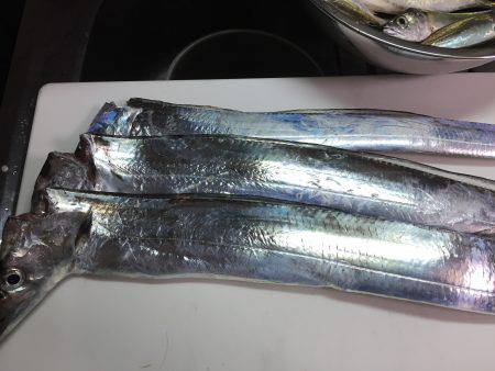 太刀魚/鯵/鯖