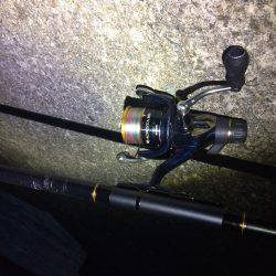 久しぶりの釣行