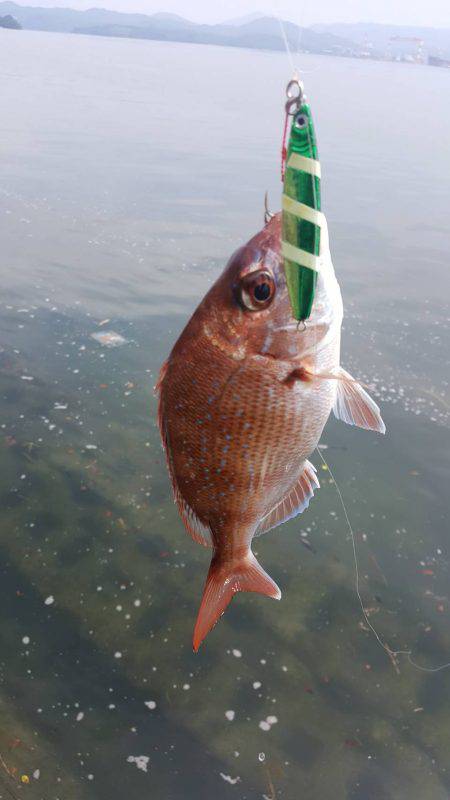 気軽にショアスロー
