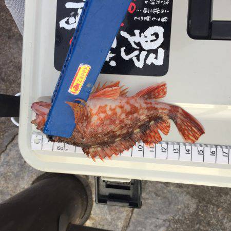 本命に思い届かず