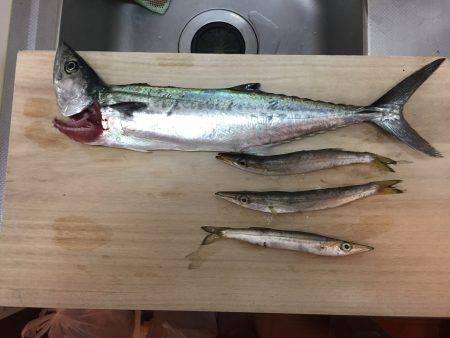 やっぱりホームタウン