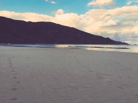 ヒラメ(サーフ)