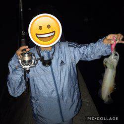 アオリ・タチウオ