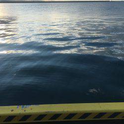 思ったより乏しい