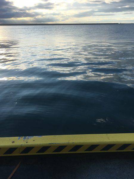 思ったより乏しい