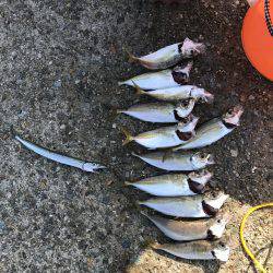 みんなが釣れるわけじゃない