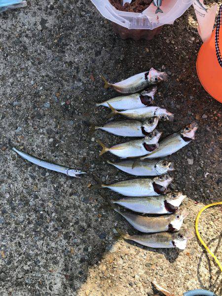 みんなが釣れるわけじゃない