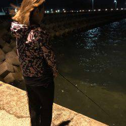 今夜も新子釣り