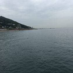 雨予報の中アオリイカ