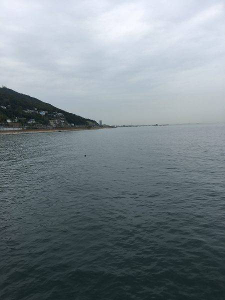 雨予報の中アオリイカ