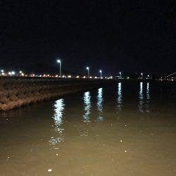 エギングからのエサなしサビキ