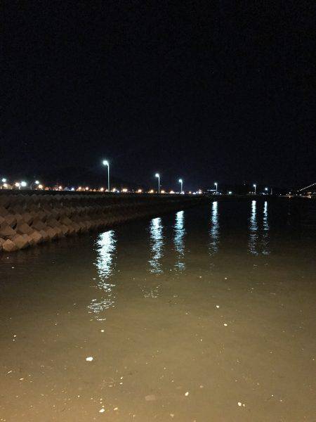 エギングからのエサなしサビキ