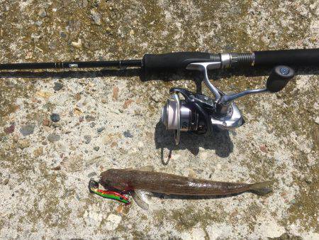 メタルマル爆釣