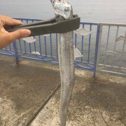 ウキ→ワインド→ショアジギ