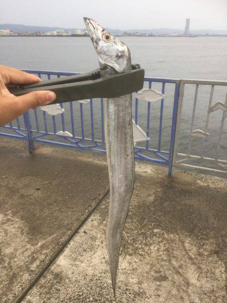 ウキ→ワインド→ショアジギ