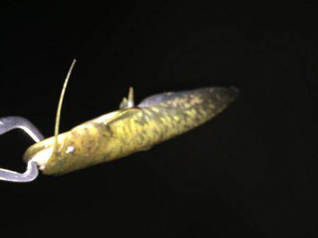 高校の友達と！