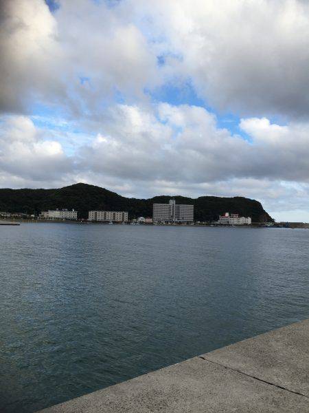 アオリイカ調査