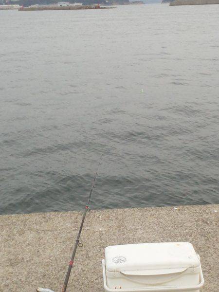 太刀魚ゲット・・・・・