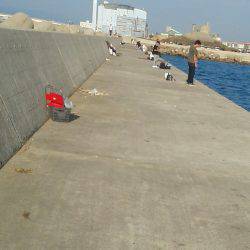 太刀魚ゲット・・・・・