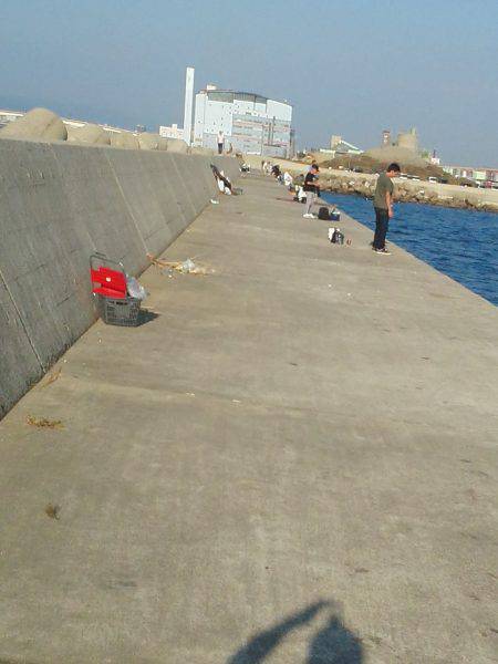 太刀魚ゲット・・・・・