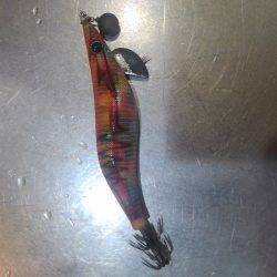 イカが食べたい