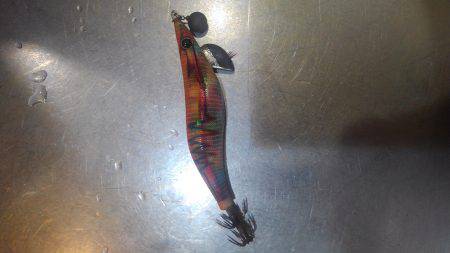 イカが食べたい