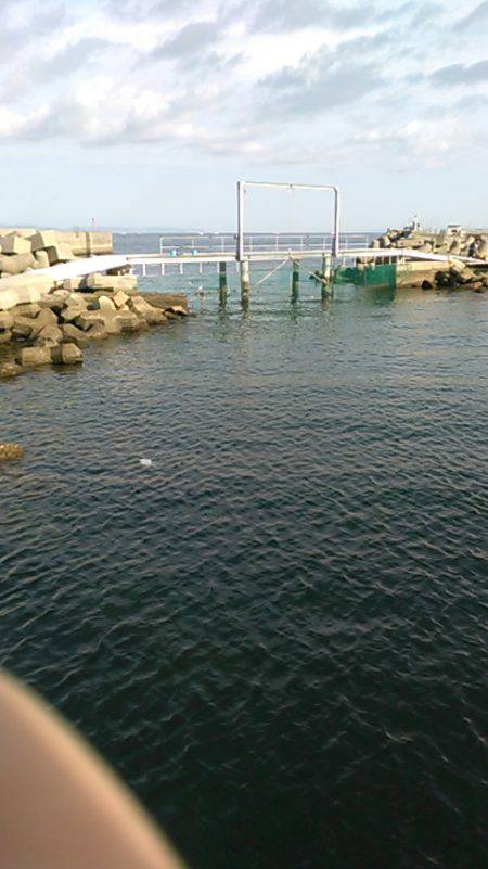 小島養魚場でヒラマサ狙い、初挑戦