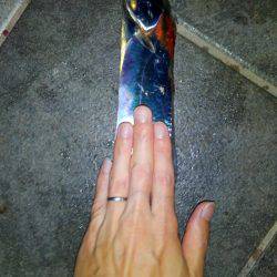 タチウオ釣行　９月編