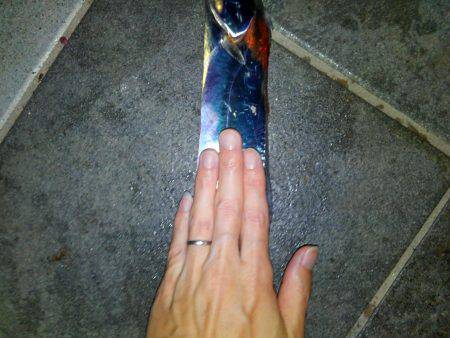 タチウオ釣行　９月編